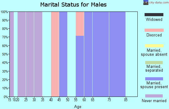 Zip code 68667 marital status for males