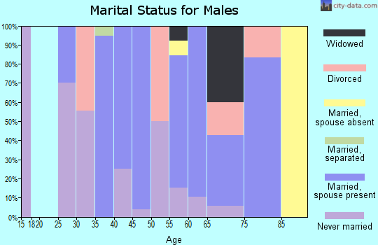 Zip code 68669 marital status for males
