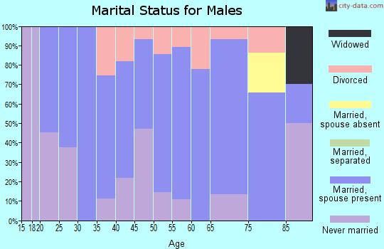 Zip code 68713 marital status for males