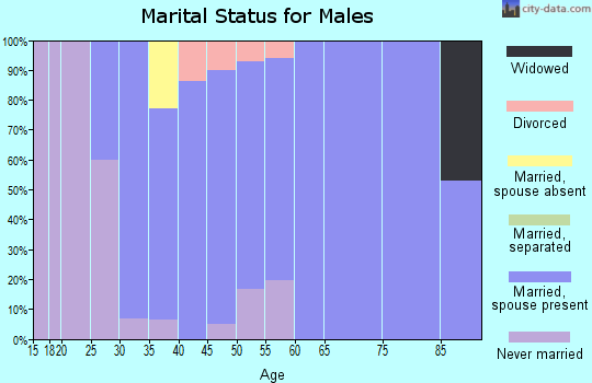 Zip code 68715 marital status for males