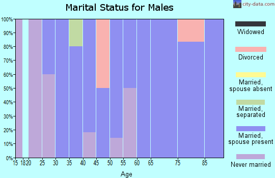 Zip code 68728 marital status for males