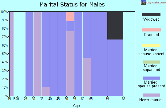 Zip code 68732 marital status for males
