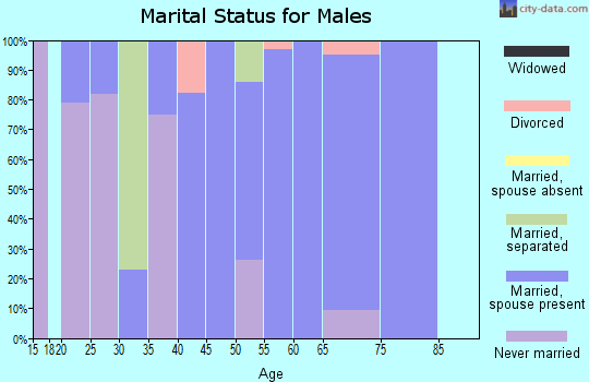 Zip code 68736 marital status for males