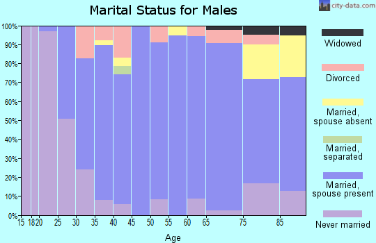 Zip code 68739 marital status for males