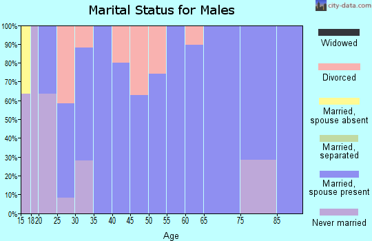 Zip code 68741 marital status for males