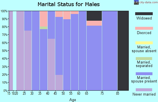 Zip code 68743 marital status for males