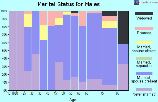 Zip code 68784 marital status for males