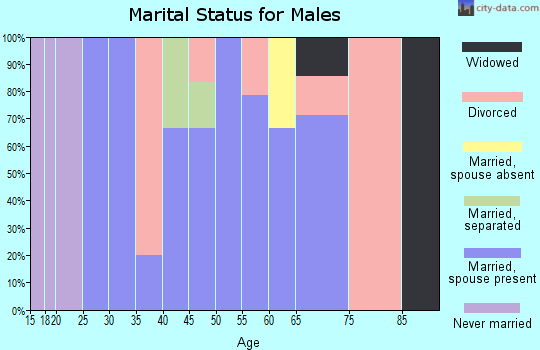 Zip code 68785 marital status for males