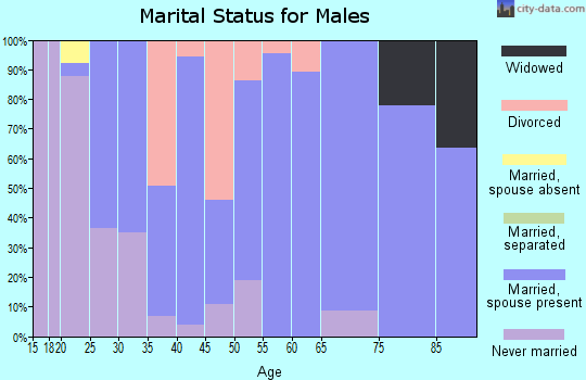 Zip code 68787 marital status for males