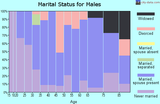 Zip code 68791 marital status for males