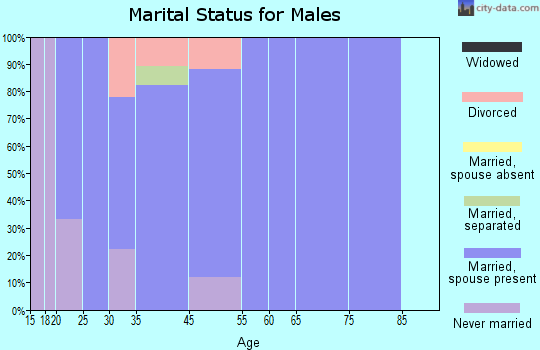 Zip code 68819 marital status for males