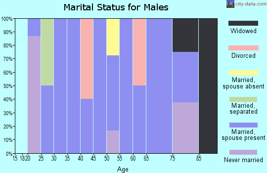 Zip code 68834 marital status for males