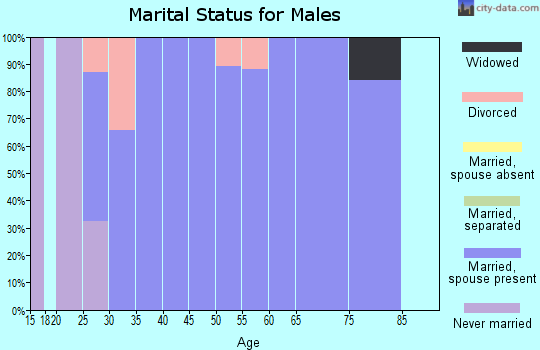 Zip code 68872 marital status for males