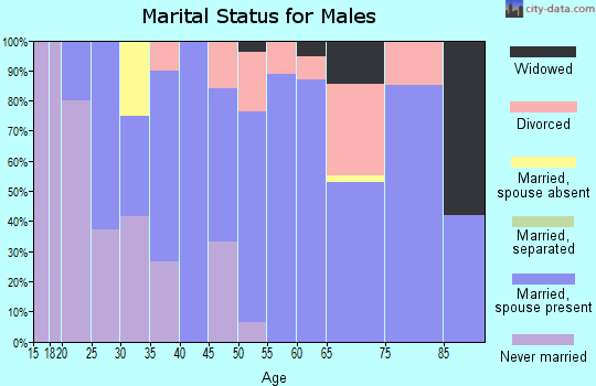 Zip code 68874 marital status for males