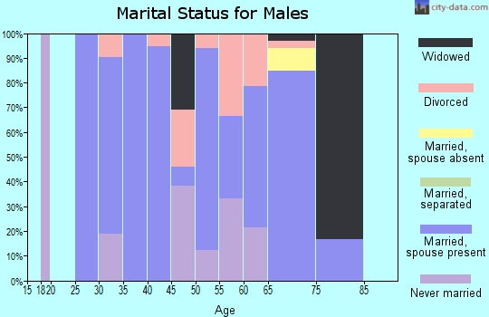 Zip code 68882 marital status for males