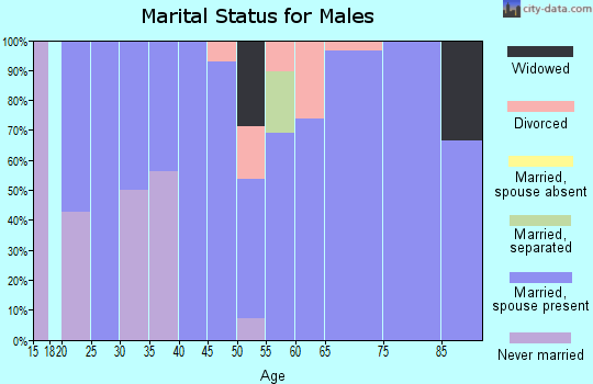 Zip code 69038 marital status for males