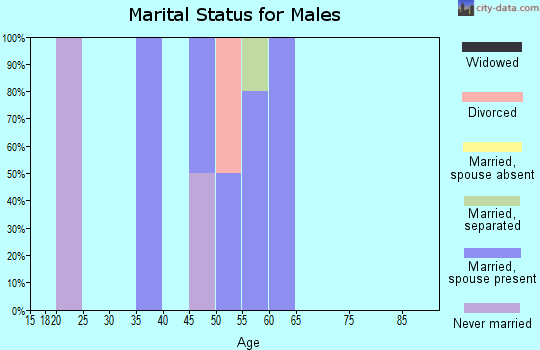 Zip code 69039 marital status for males