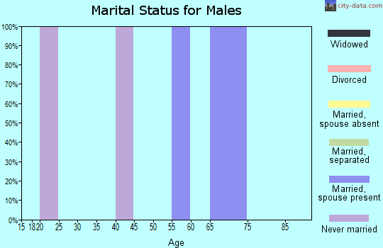 Zip code 69042 marital status for males