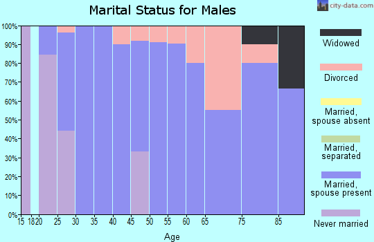 Zip code 69043 marital status for males