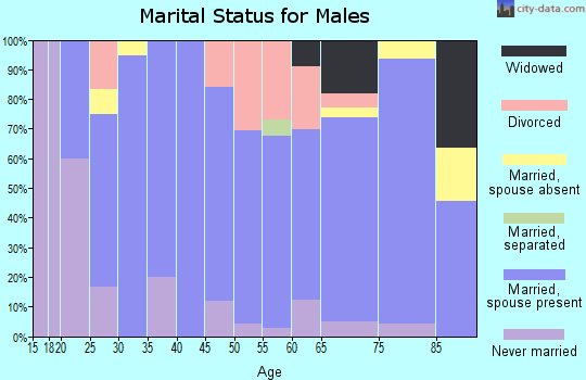 Zip code 69045 marital status for males