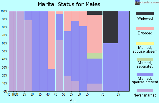 Zip code 69122 marital status for males