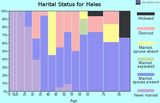 Zip code 69131 marital status for males