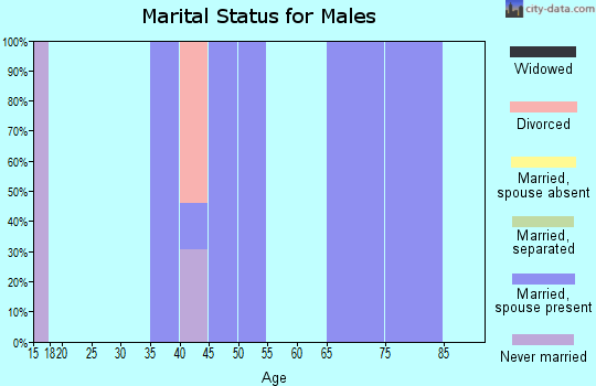 Zip code 69132 marital status for males