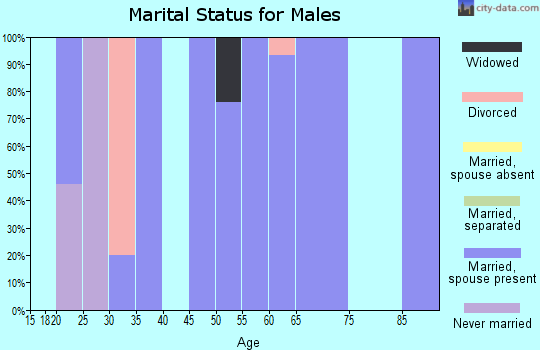 Zip code 69134 marital status for males
