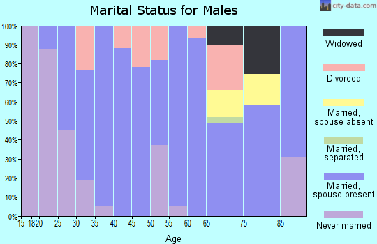Zip code 69138 marital status for males