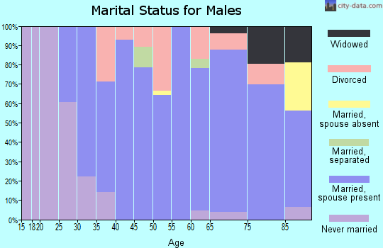 Zip code 69140 marital status for males