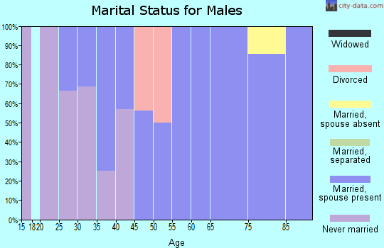 Zip code 69141 marital status for males