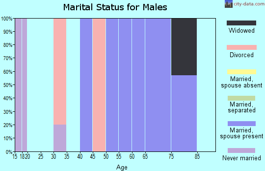 Zip code 69142 marital status for males