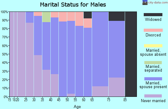 Zip code 69143 marital status for males
