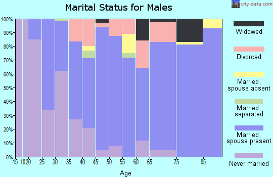 Zip code 69145 marital status for males