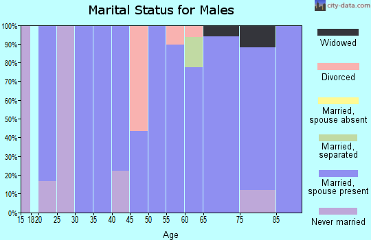 Zip code 69150 marital status for males