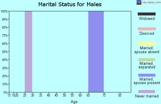 Zip code 69157 marital status for males
