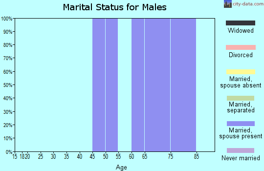 Zip code 69161 marital status for males