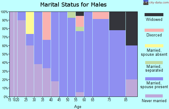 Zip code 69163 marital status for males