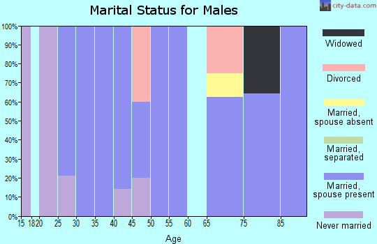 Zip code 69167 marital status for males