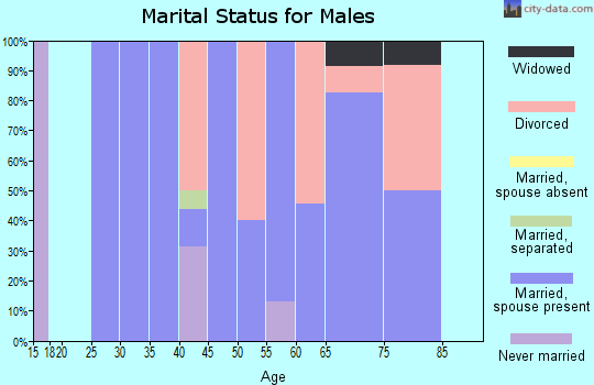 Zip code 69170 marital status for males