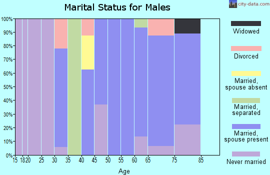 Zip code 69211 marital status for males