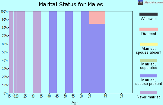 Zip code 69212 marital status for males