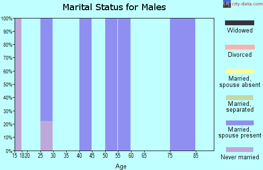 Zip code 69219 marital status for males