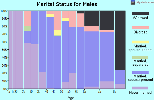 Zip code 69336 marital status for males