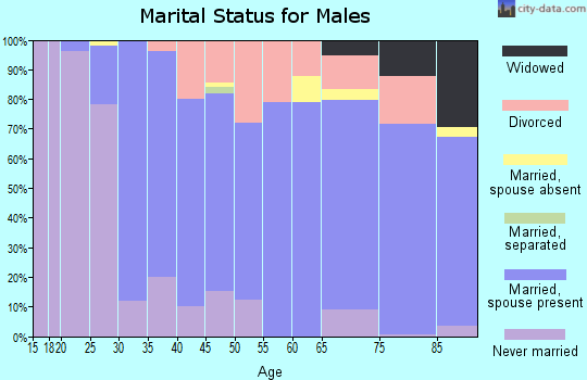 Zip code 69337 marital status for males