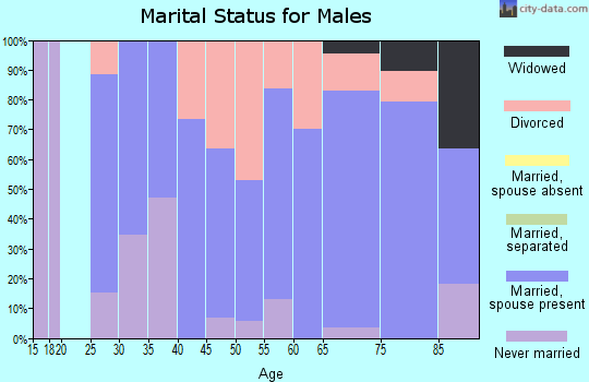 Zip code 69339 marital status for males