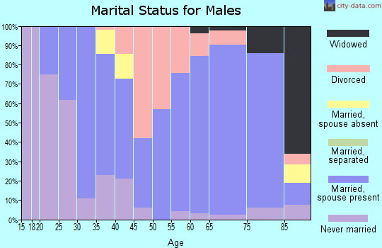 Zip code 69343 marital status for males