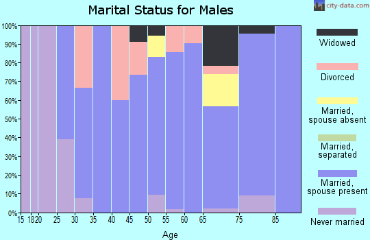 Zip code 69348 marital status for males