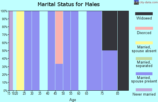Zip code 69355 marital status for males