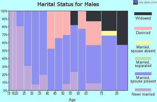 Zip code 69356 marital status for males